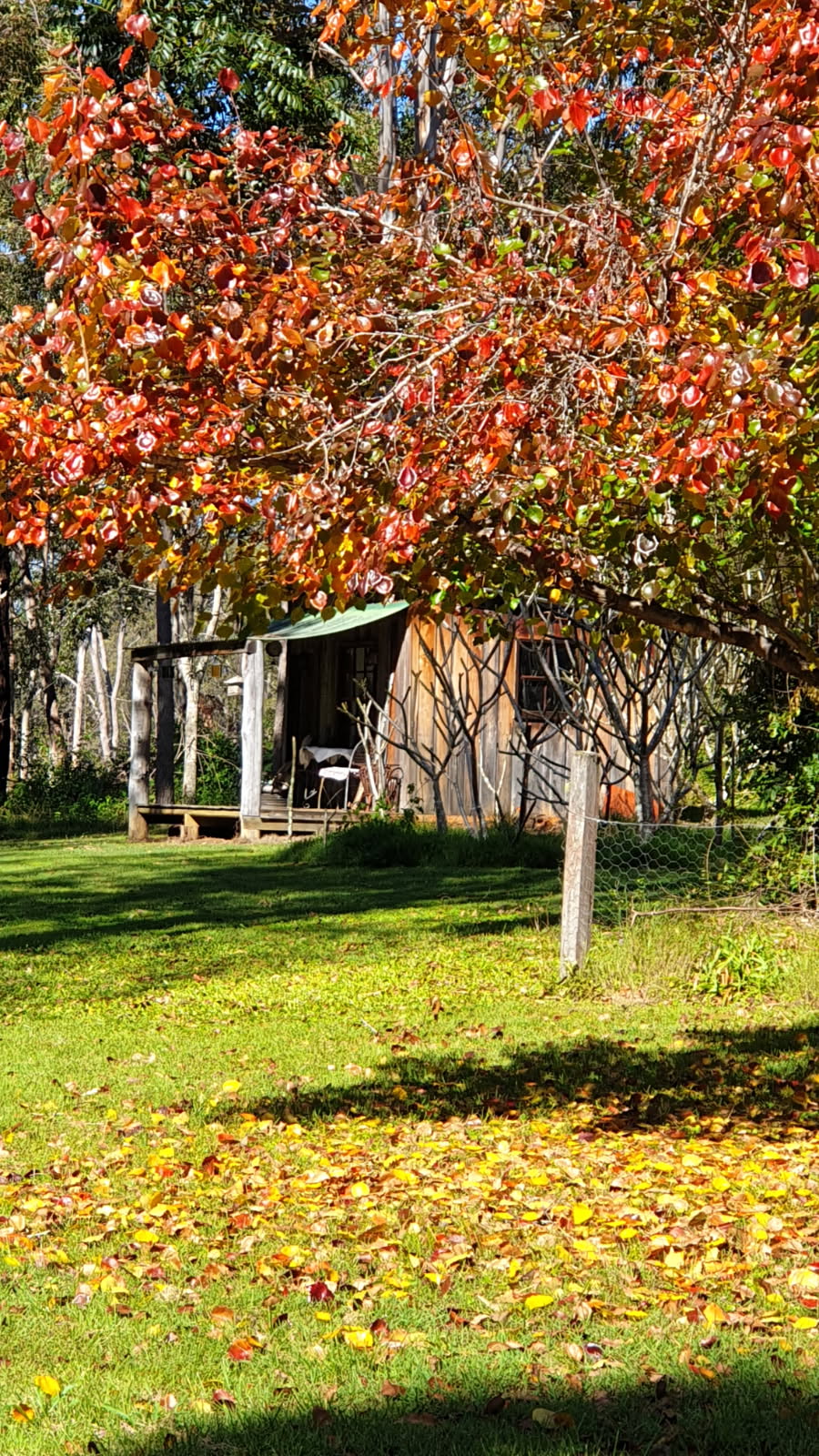 Artist Spotlight: Handmade by Tracy