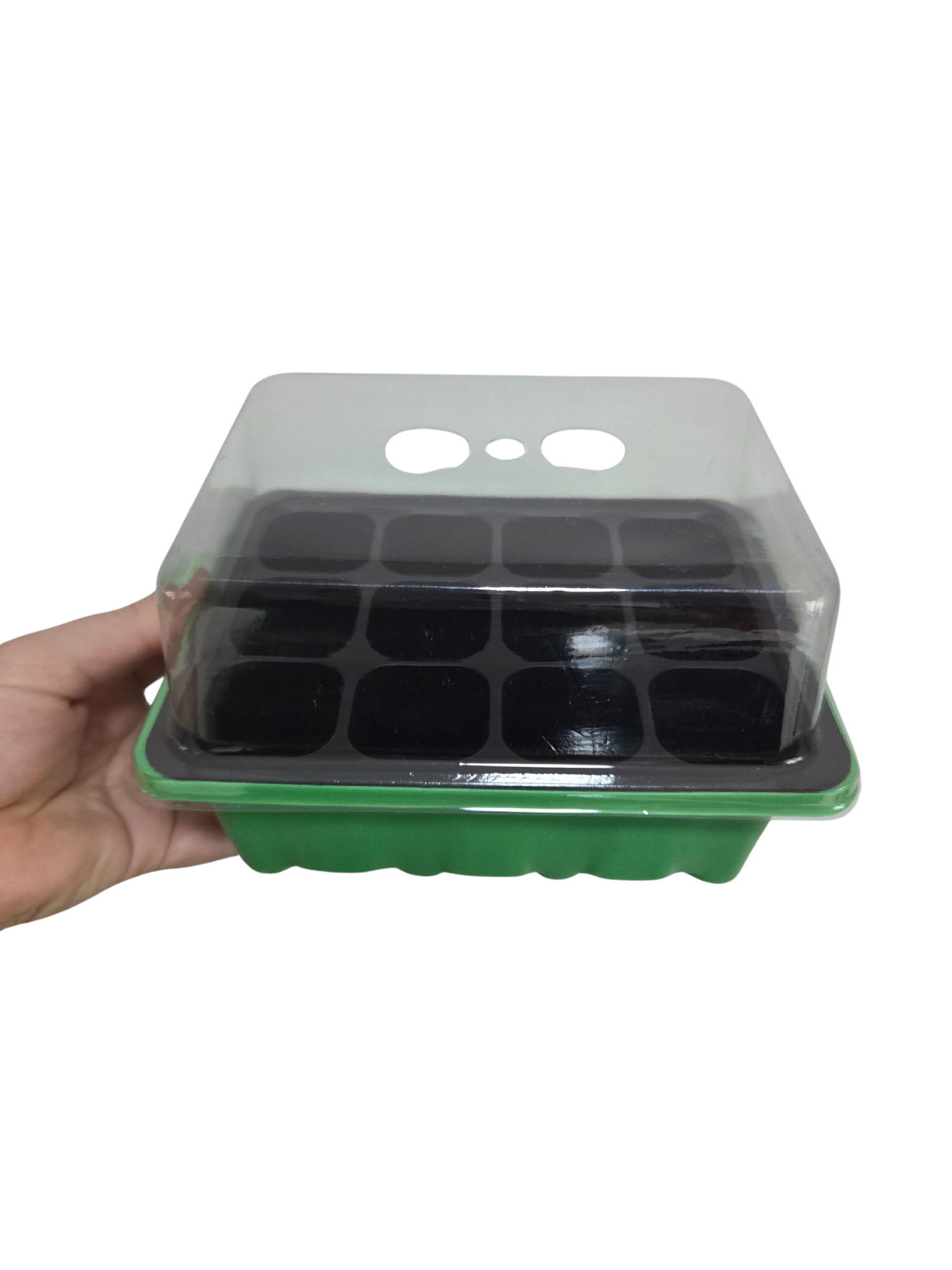 Mini greenhouse 12 cell with tray