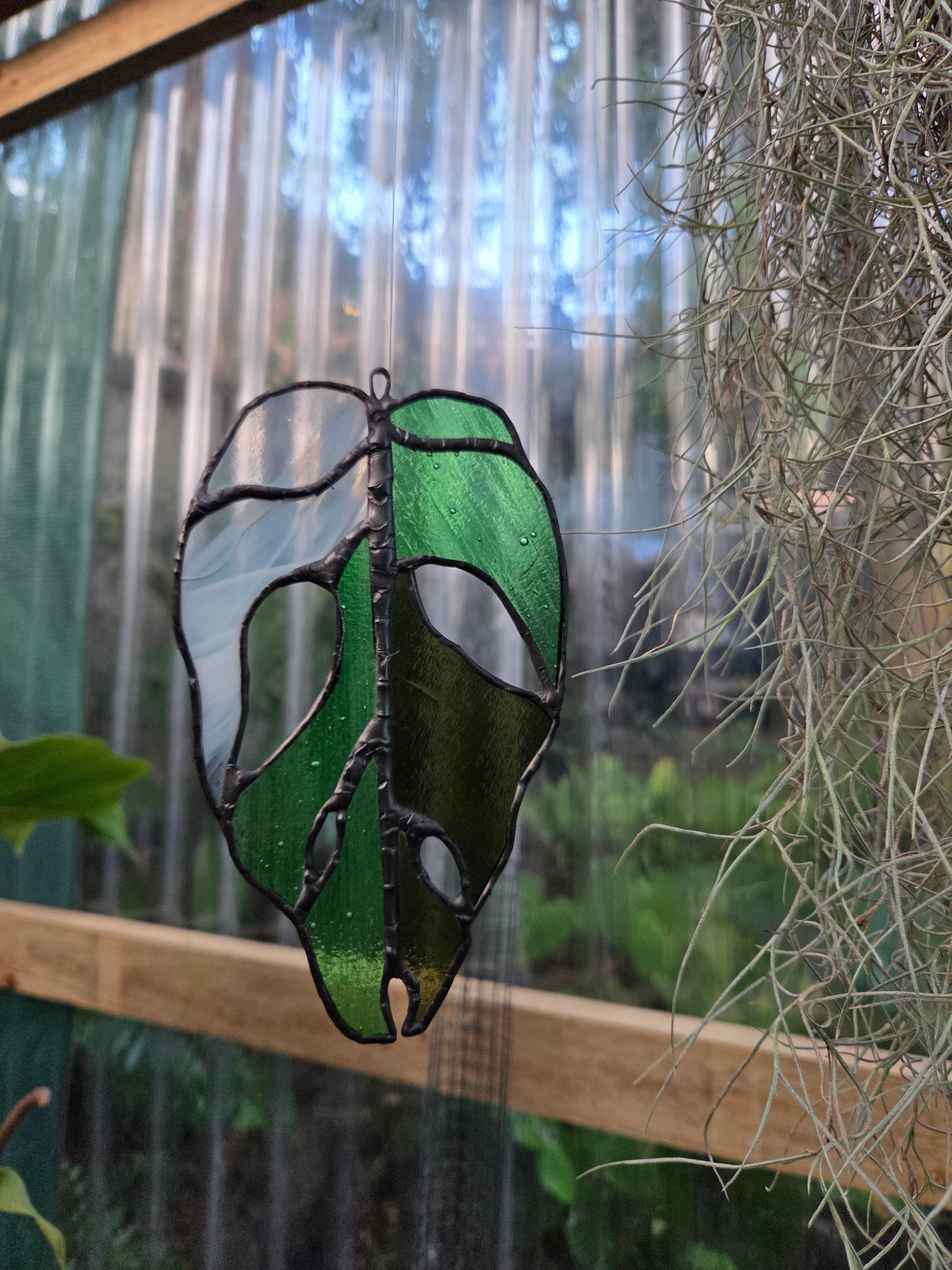 Leadlight / stained glass Variegated Monstera adansonii leaf handcrafted one off piece