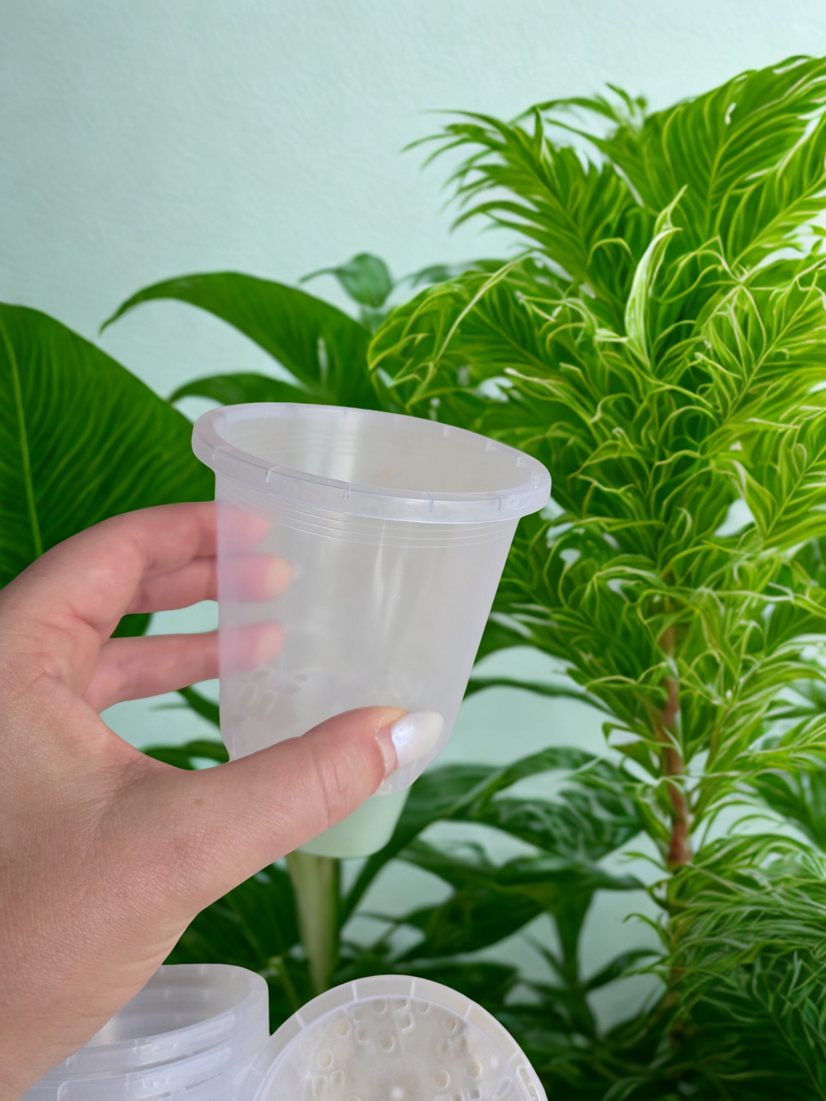 Clear grow pots 90mm