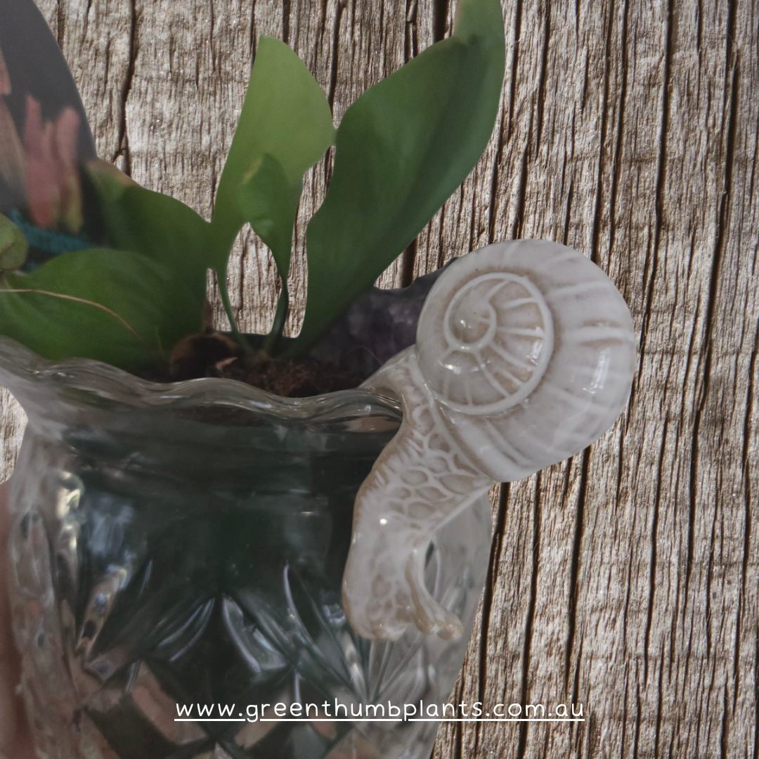 Ceramic pot sitter figurine decor - snail white