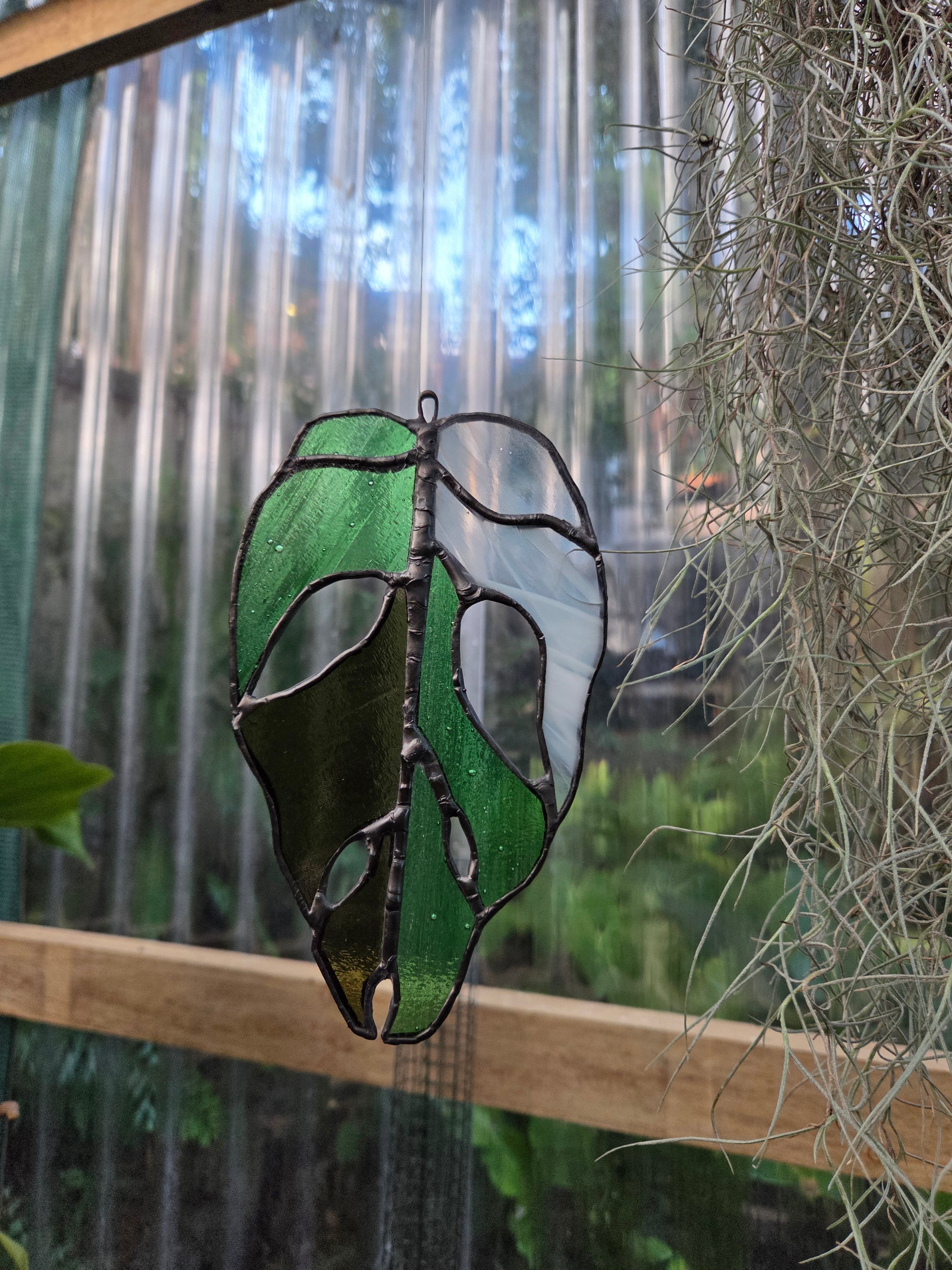 Leadlight / stained glass Variegated Monstera adansonii leaf handcrafted one off piece