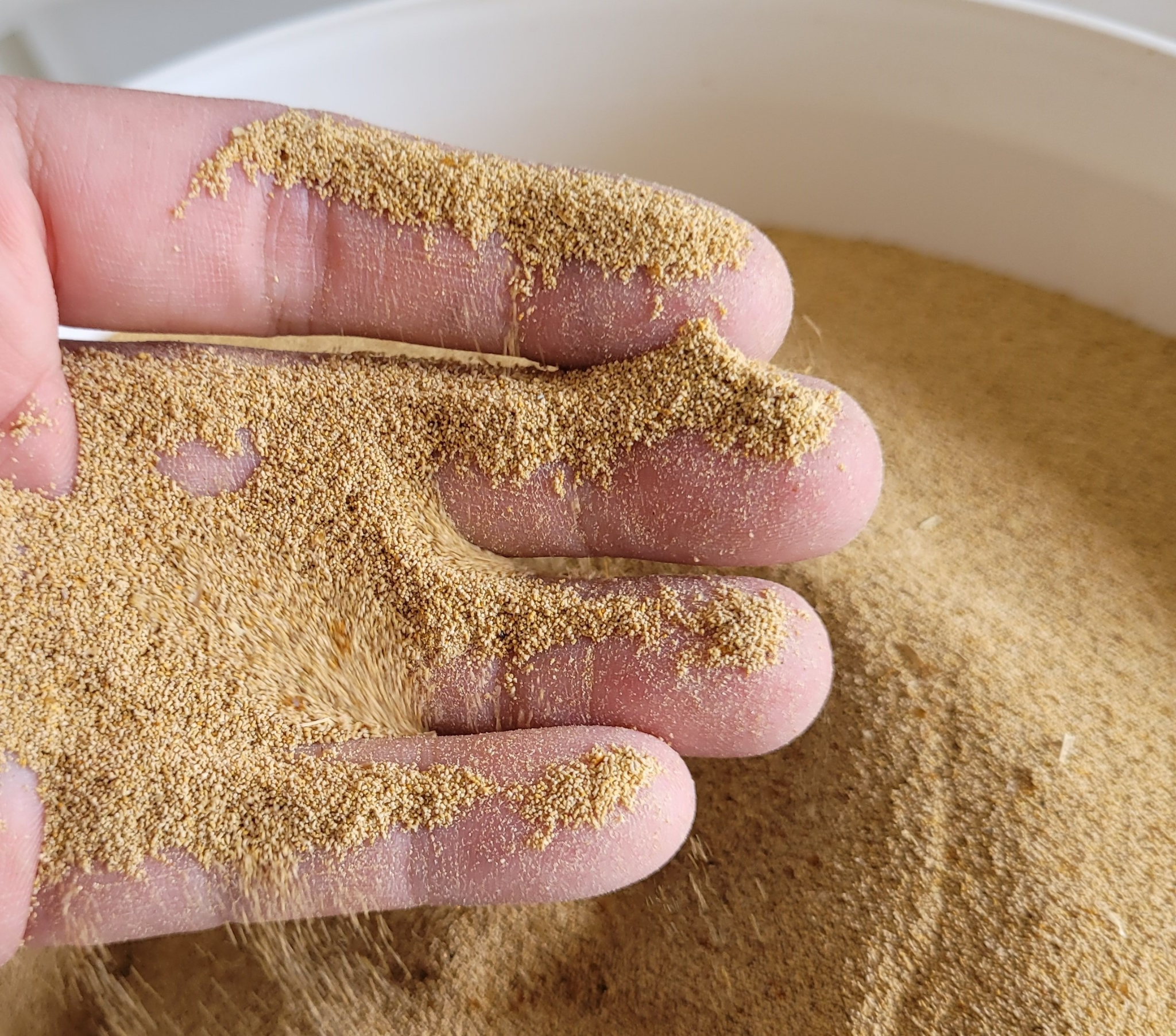 Meal Worm Frass 160g by Rich Roots