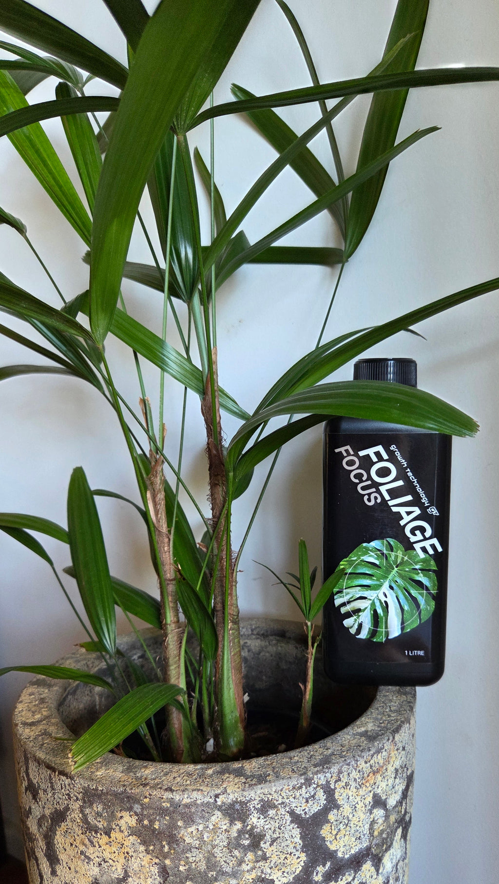 Growth technology GT foliage focus 1 litre - the orginal and the best!